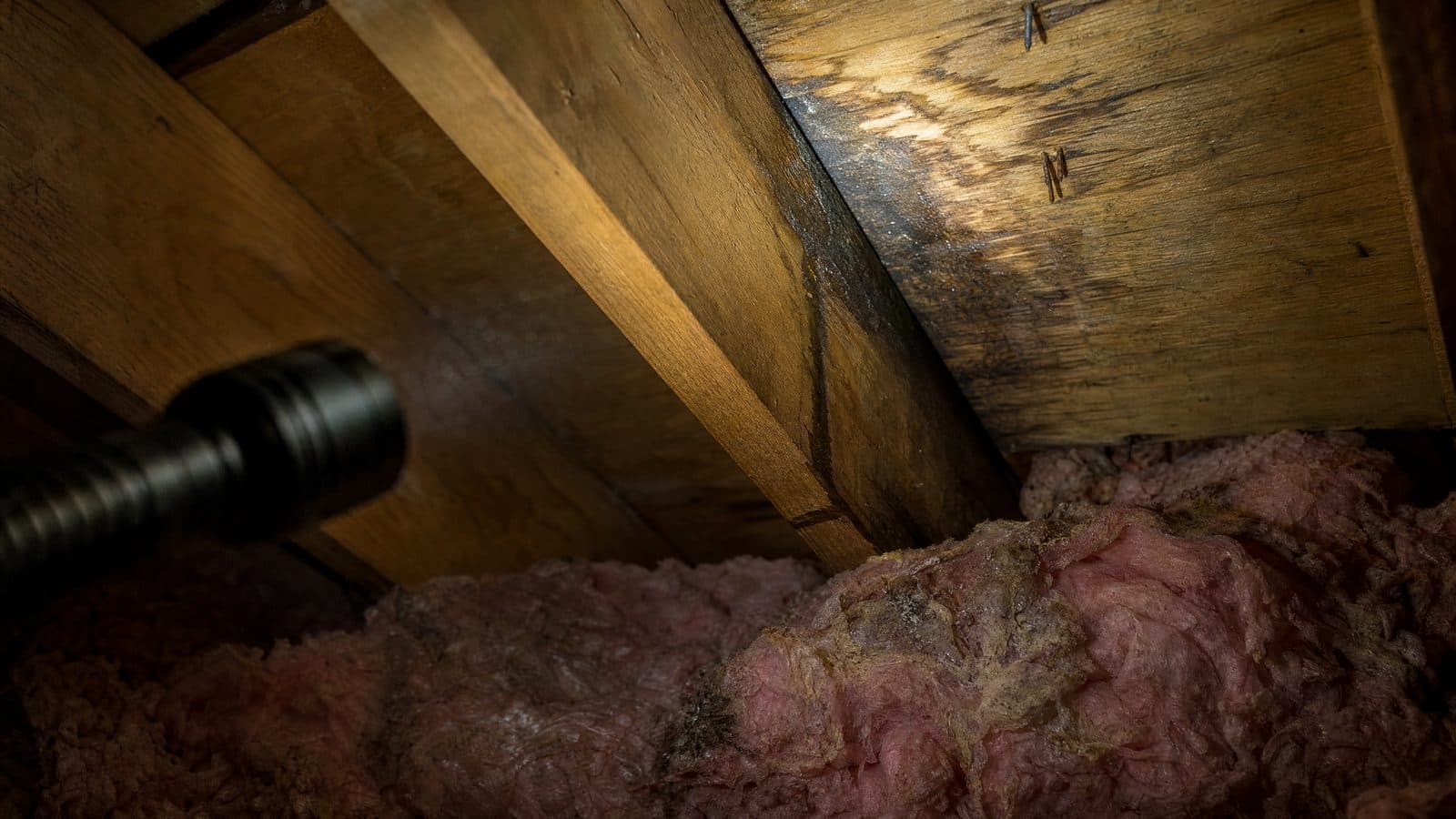 Flashlight beam showing a water stain on attic roof decking and damp insulation below