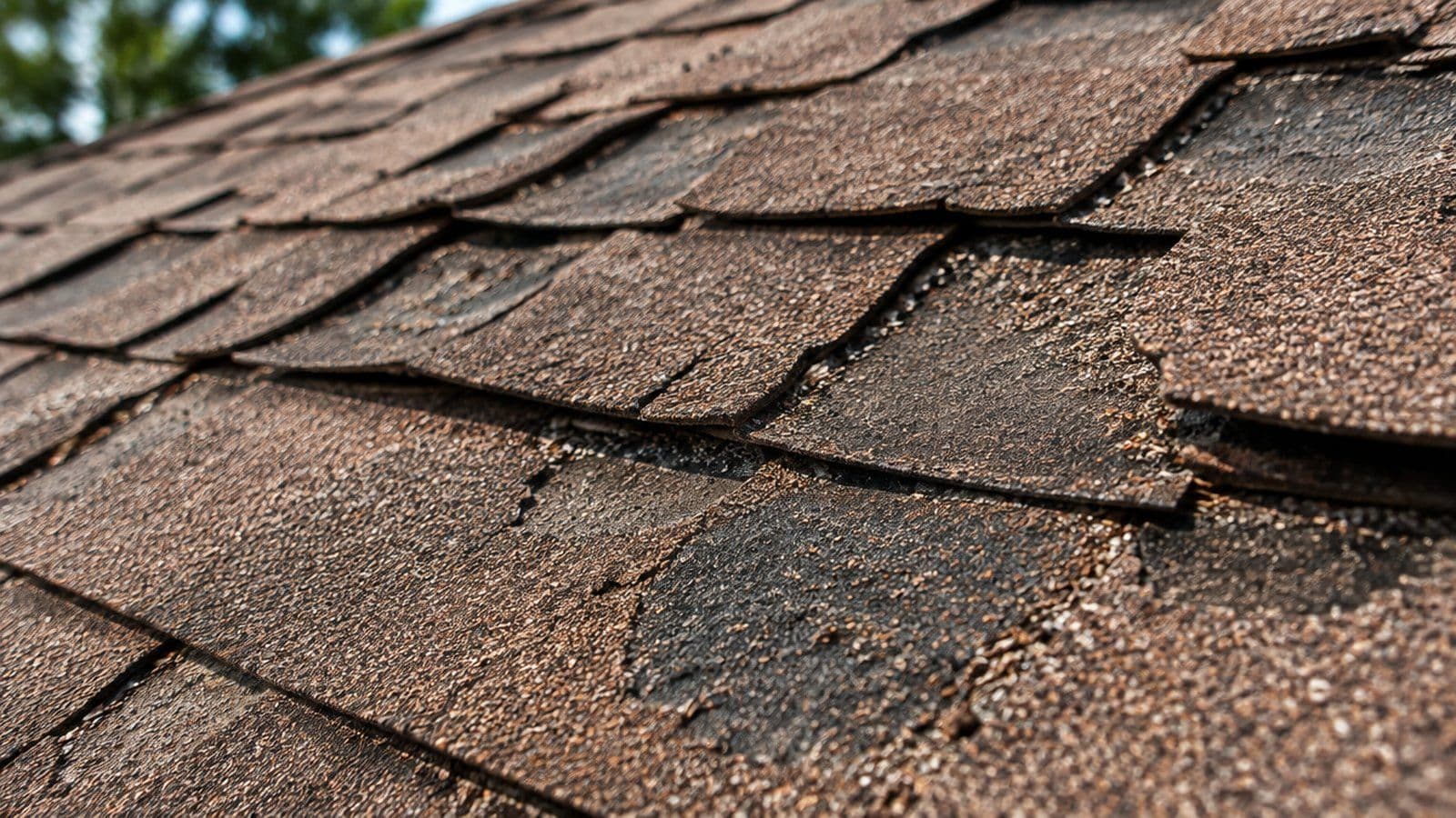 Close-up of worn asphalt shingles with curled edges and bare patches where the granules have washed away