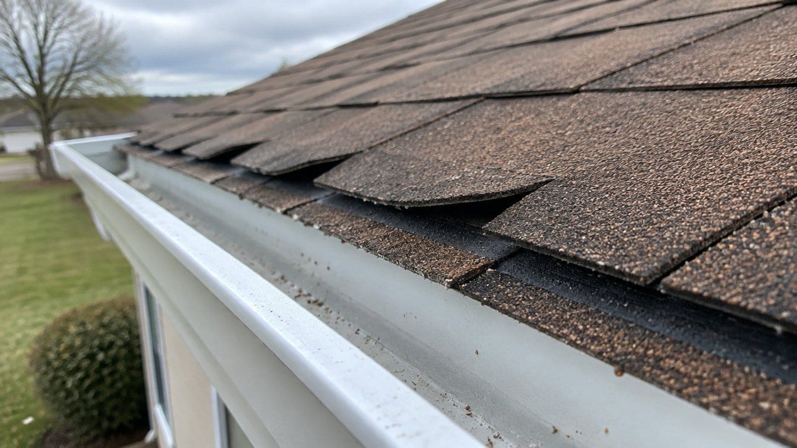 View from the top of a ladder of asphalt shingles along a roof edge with their tabs lifted and unsealed after high wind